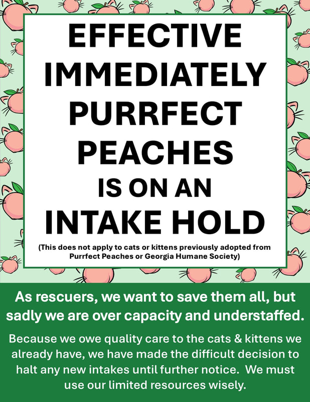 Notification - purrfect peaches is on an intake hold effective immediately